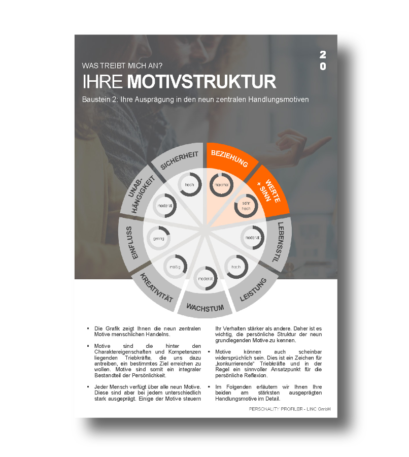 lpp-datenblatt-der-motivationsstruktur