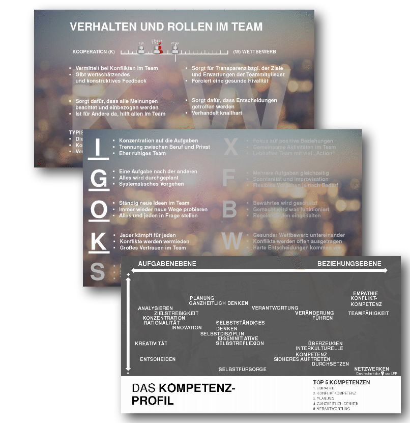 ressourcenorientierte_teamentwicklung_mit_dem_lpp_team_check